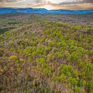 Photo #2 of CASTLETON VIEW ROAD, CASTLETON, VA 25.2 acres