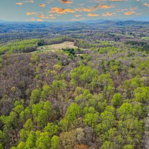 Photo #10 of CASTLETON VIEW ROAD, CASTLETON, VA 25.2 acres