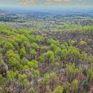 Photo #4 of CASTLETON VIEW ROAD, CASTLETON, VA 25.2 acres