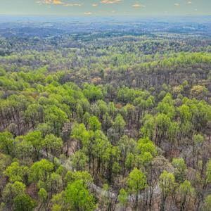 Photo #5 of CASTLETON VIEW ROAD, CASTLETON, VA 25.2 acres