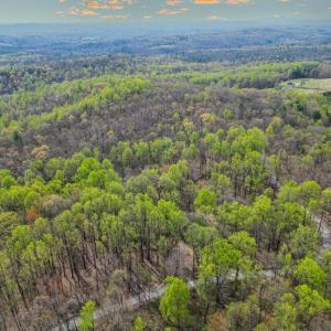 Photo #7 of CASTLETON VIEW ROAD, CASTLETON, VA 25.2 acres