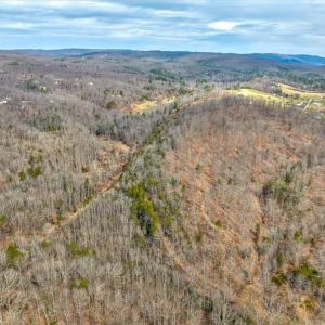 38-37-181-DJI_0976And4more