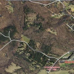 Photo #3 of TREEHOUSE PL, NELLYSFORD, VA 10.0 acres