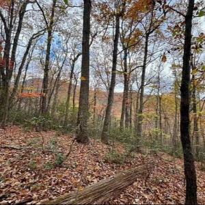 Photo #7 of TREEHOUSE PL, NELLYSFORD, VA 10.0 acres