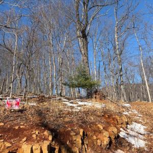 Photo #1 of TREEHOUSE PL, NELLYSFORD, VA 10.0 acres