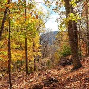 Photo #1 of TREEHOUSE PL, NELLYSFORD, VA 10.0 acres