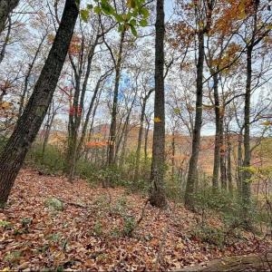 Photo #2 of TREEHOUSE PL, NELLYSFORD, VA 10.0 acres