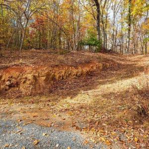 Photo #7 of TREEHOUSE PL, NELLYSFORD, VA 10.0 acres