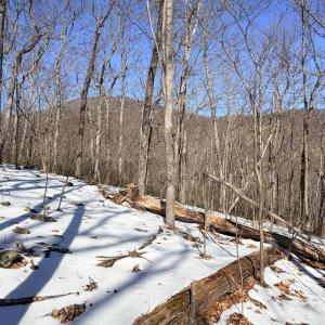 Photo #10 of TREEHOUSE PL, NELLYSFORD, VA 10.0 acres