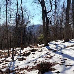 Photo #8 of TREEHOUSE PL, NELLYSFORD, VA 10.0 acres