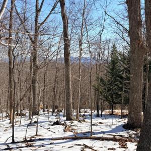 Photo #9 of TREEHOUSE PL, NELLYSFORD, VA 10.0 acres