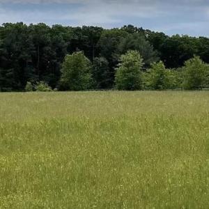 Photo #5 of 11175 MARQUIS RD, UNIONVILLE, VA 10.2 acres