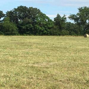 Photo #6 of 11175 MARQUIS RD, UNIONVILLE, VA 10.2 acres