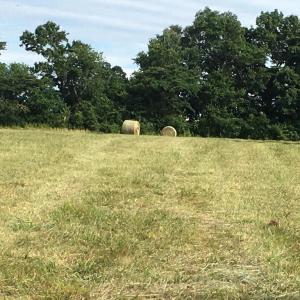 Photo #9 of 11175 MARQUIS RD, UNIONVILLE, VA 10.2 acres