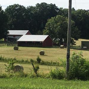 Photo #7 of 11175 MARQUIS RD, UNIONVILLE, VA 10.2 acres