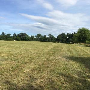 Photo #10 of 11175 MARQUIS RD, UNIONVILLE, VA 10.2 acres