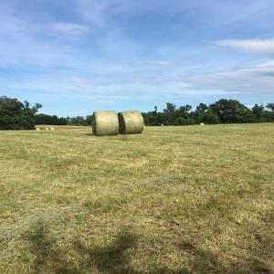 Photo #11 of 11175 MARQUIS RD, UNIONVILLE, VA 10.2 acres