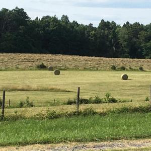 Photo #8 of 11175 MARQUIS RD, UNIONVILLE, VA 10.2 acres