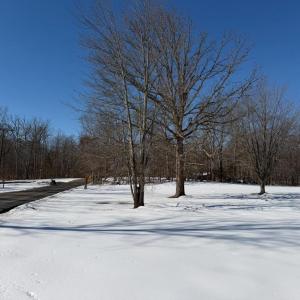 Photo #3 of BROAD RUN CHURCH RD, WARRENTON, VA 2.1 acres