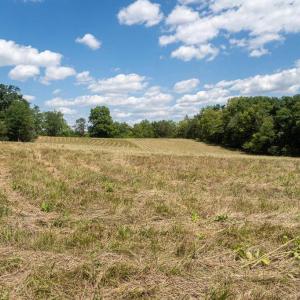 Photo #5 of 8 GALLOWAY SPRING LANE, SHENANDOAH, VA 7.1 acres