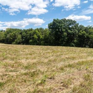 Photo #10 of 8 GALLOWAY SPRING LANE, SHENANDOAH, VA 7.1 acres