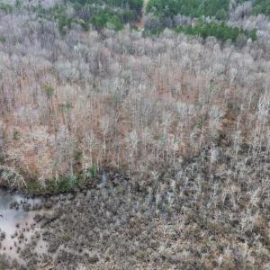 Photo #14 of 23298 EAGLE ROCK TRL, SPOTSYLVANIA, VA 2.3 acres