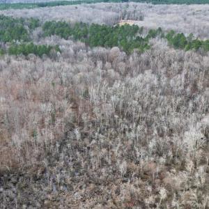 Photo #15 of 23298 EAGLE ROCK TRL, SPOTSYLVANIA, VA 2.3 acres