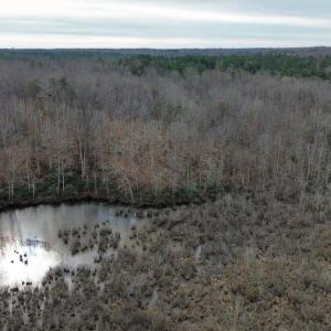 Photo #12 of 23298 EAGLE ROCK TRL, SPOTSYLVANIA, VA 2.3 acres