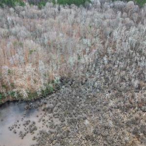 Photo #2 of 23299 EAGLE ROCK TRL, SPOTSYLVANIA, VA 2.1 acres