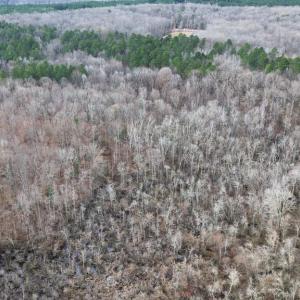 Photo #10 of 23299 EAGLE ROCK TRL, SPOTSYLVANIA, VA 2.1 acres