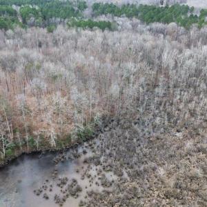 Photo #11 of 23299 EAGLE ROCK TRL, SPOTSYLVANIA, VA 2.1 acres