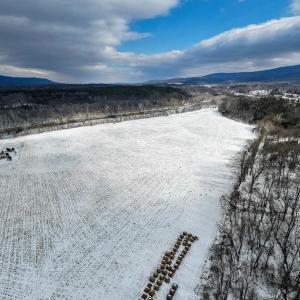 Photo #10 of GOOD MILL RD, RILEYVILLE, VA 6.0 acres