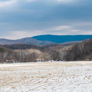 Photo #15 of GOOD MILL RD, RILEYVILLE, VA 6.0 acres