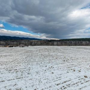 Photo #16 of GOOD MILL RD, RILEYVILLE, VA 6.0 acres