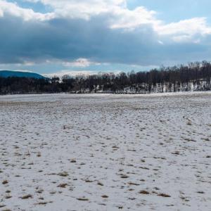 Photo #23 of GOOD MILL RD, RILEYVILLE, VA 6.0 acres