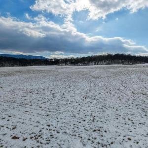 Photo #25 of GOOD MILL RD, RILEYVILLE, VA 6.0 acres