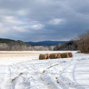 Photo #36 of GOOD MILL RD, RILEYVILLE, VA 6.0 acres