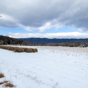Photo #40 of GOOD MILL RD, RILEYVILLE, VA 6.0 acres