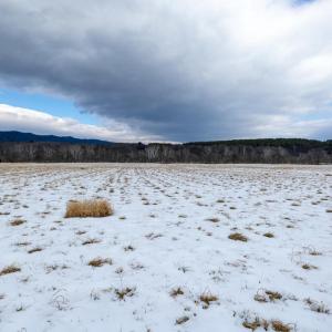 Photo #46 of GOOD MILL RD, RILEYVILLE, VA 6.0 acres