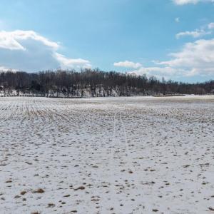 Photo #22 of GOOD MILL RD, RILEYVILLE, VA 6.0 acres