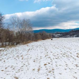 Photo #24 of GOOD MILL RD, RILEYVILLE, VA 6.0 acres