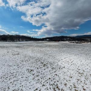 Photo #26 of GOOD MILL RD, RILEYVILLE, VA 6.0 acres