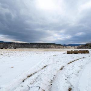 Photo #35 of GOOD MILL RD, RILEYVILLE, VA 6.0 acres