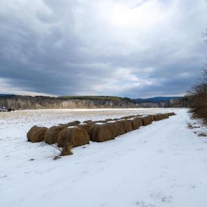 Photo #37 of GOOD MILL RD, RILEYVILLE, VA 6.0 acres