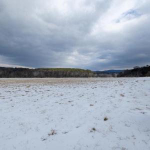 Photo #38 of GOOD MILL RD, RILEYVILLE, VA 6.0 acres