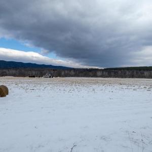 Photo #39 of GOOD MILL RD, RILEYVILLE, VA 6.0 acres
