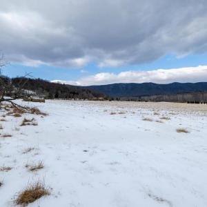 Photo #42 of GOOD MILL RD, RILEYVILLE, VA 6.0 acres