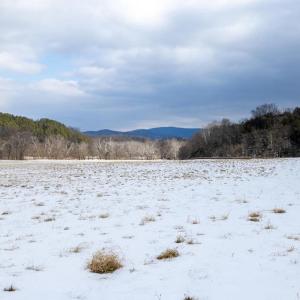 Photo #43 of GOOD MILL RD, RILEYVILLE, VA 6.0 acres