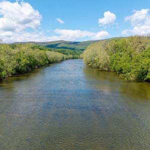 Photo #16 of GOOD MILL RD, RILEYVILLE, VA 6.0 acres