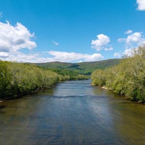 Photo #19 of GOOD MILL RD, RILEYVILLE, VA 6.0 acres